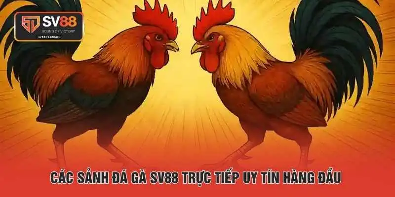 Các sảnh đá gà SV88 trực tiếp uy tín hàng đầu