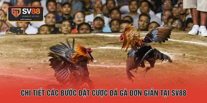 Chi tiết các bước đặt cược đá gà đơn giản tại SV88