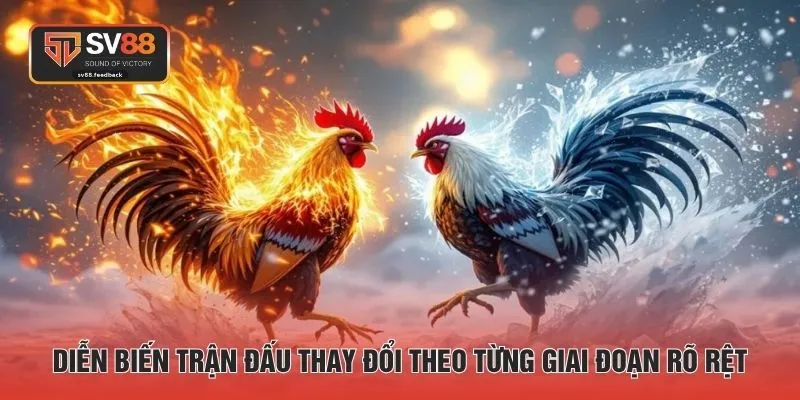 Diễn biến trận đấu thay đổi theo từng giai đoạn rõ rệt