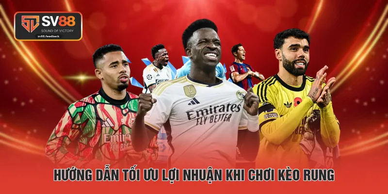 Hướng dẫn tối ưu lợi nhuận khi chơi kèo rung