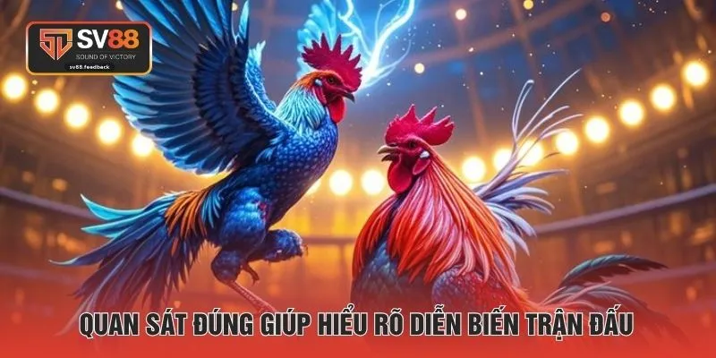 Quan sát đúng giúp hiểu rõ diễn biến trận đấu