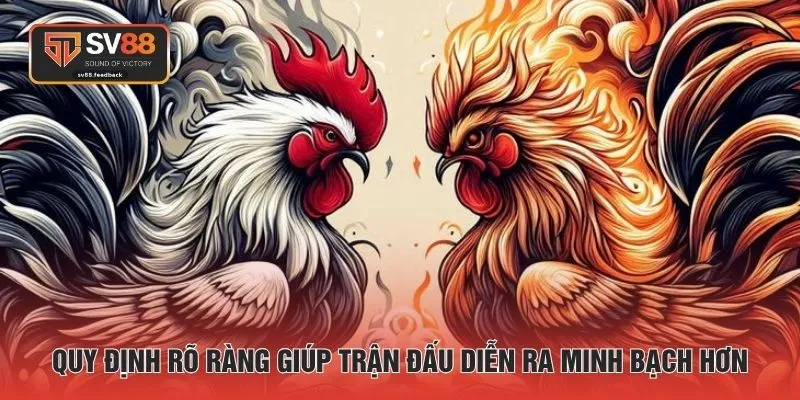 Quy định rõ ràng giúp trận đấu diễn ra minh bạch hơn