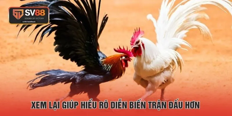Xem lại giúp hiểu rõ diễn biến trận đấu hơn
