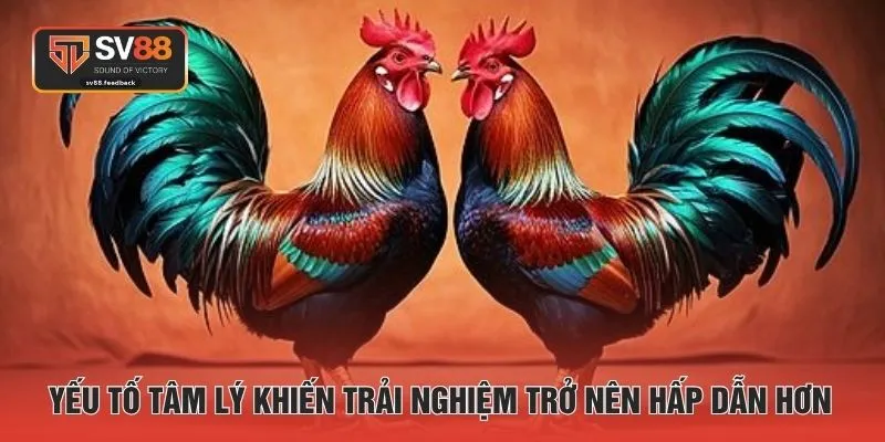 Yếu tố tâm lý khiến trải nghiệm trở nên hấp dẫn hơn