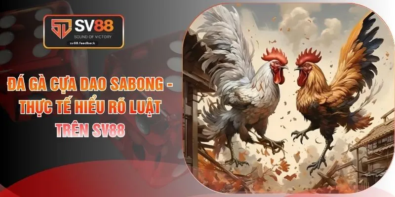 Đá Gà Cựa Dao Sabong - Thực Tế Hiểu Rõ Luật Trên SV88