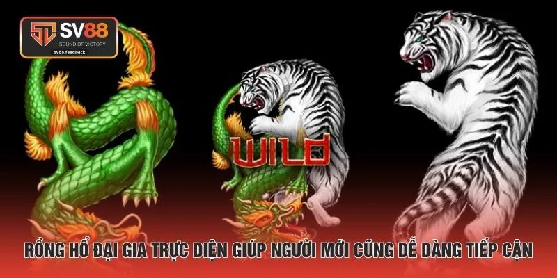 Rồng Hổ đại gia trực diện giúp người mới cũng dễ dàng tiếp cận